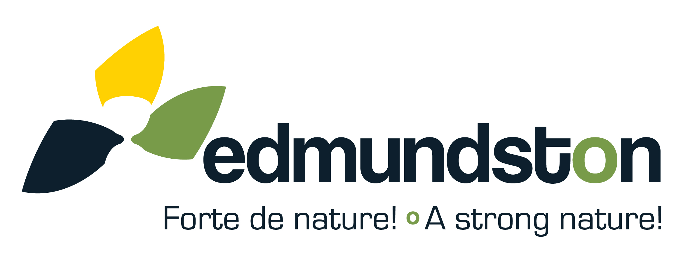 Edmundston_Logo_Bil_Horizontal_RGB_Large_JPG